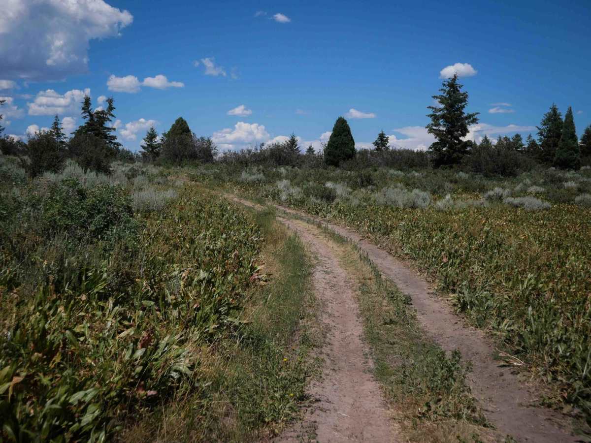 Bailey Ridge #3118  photo 6