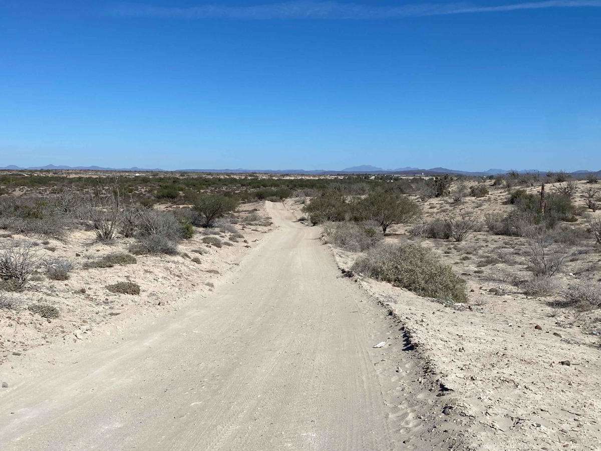 Estero San Jorge photo 4