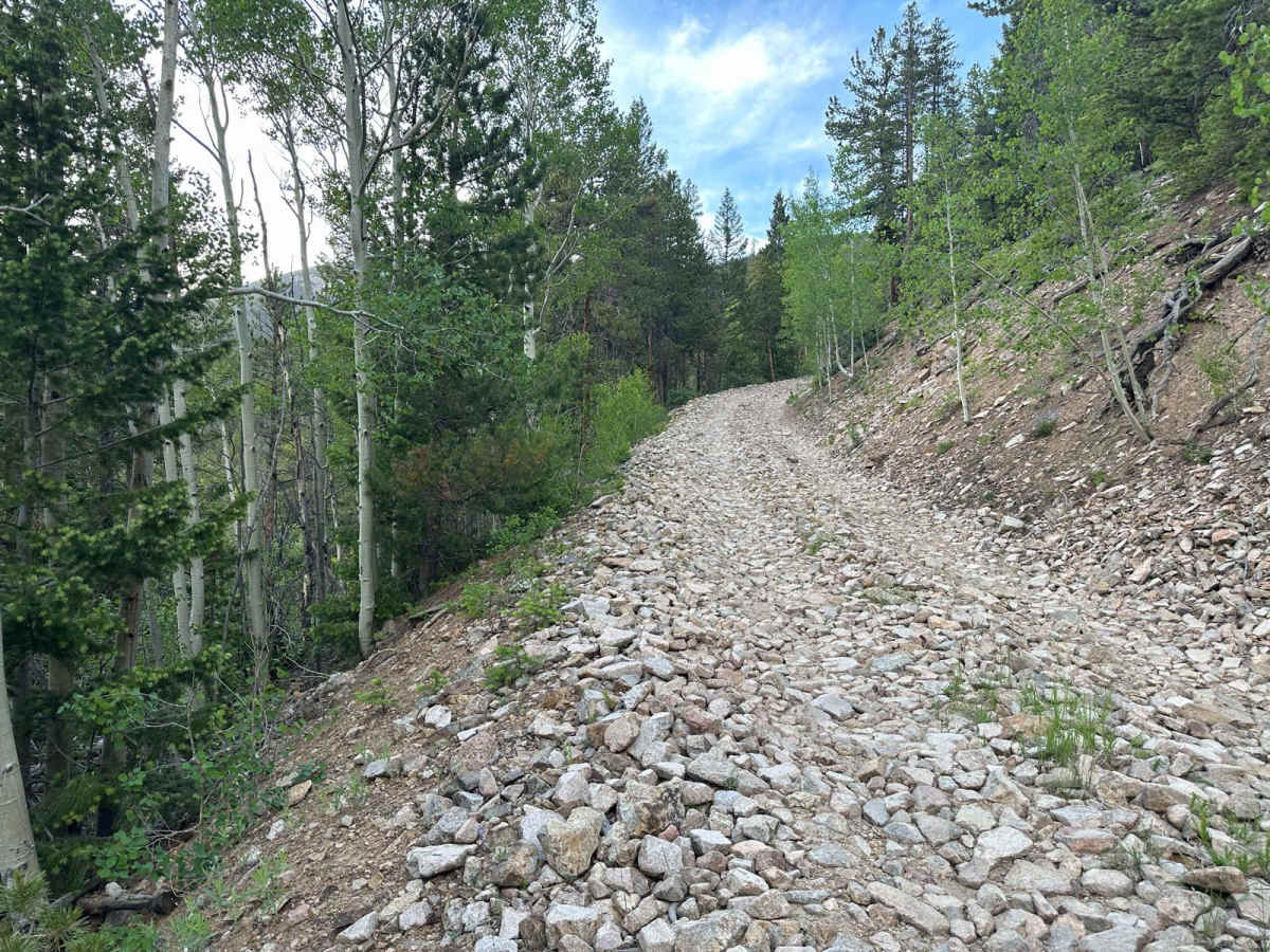 Mad Creek Road photo 4