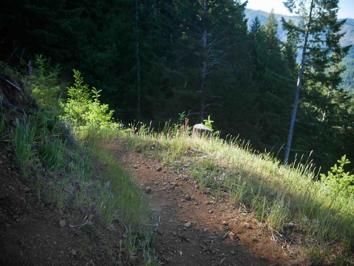 Odin's Ridge #72 photo 5