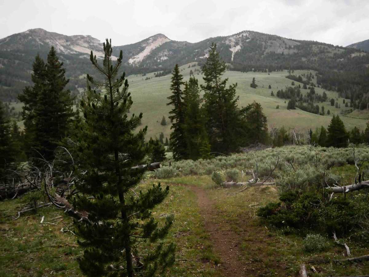 Trail Creek photo 4
