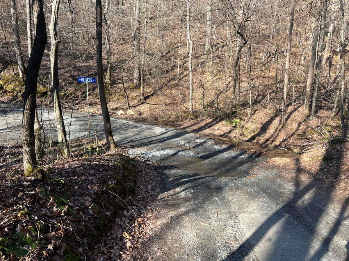 Cashes Valley Road photo 5