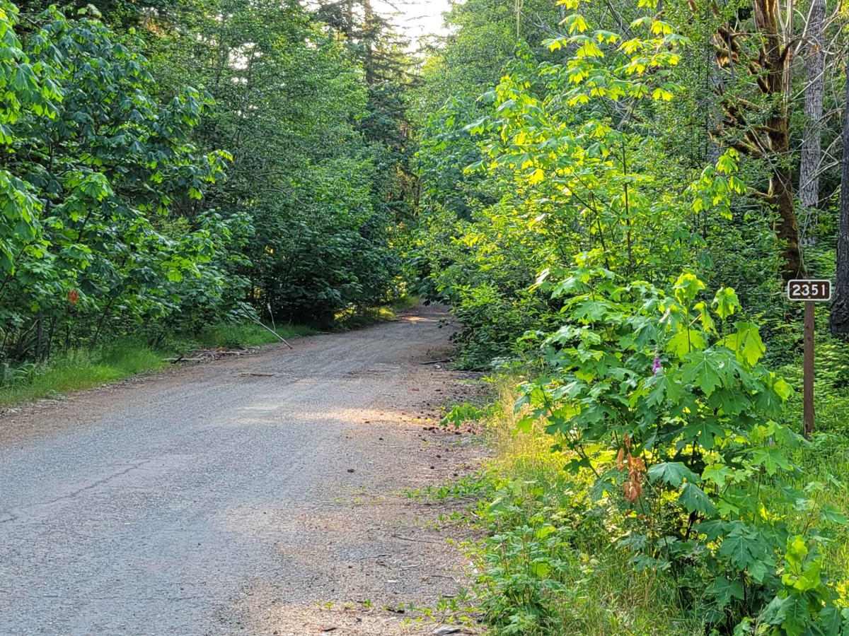 FR 2351 trail photo