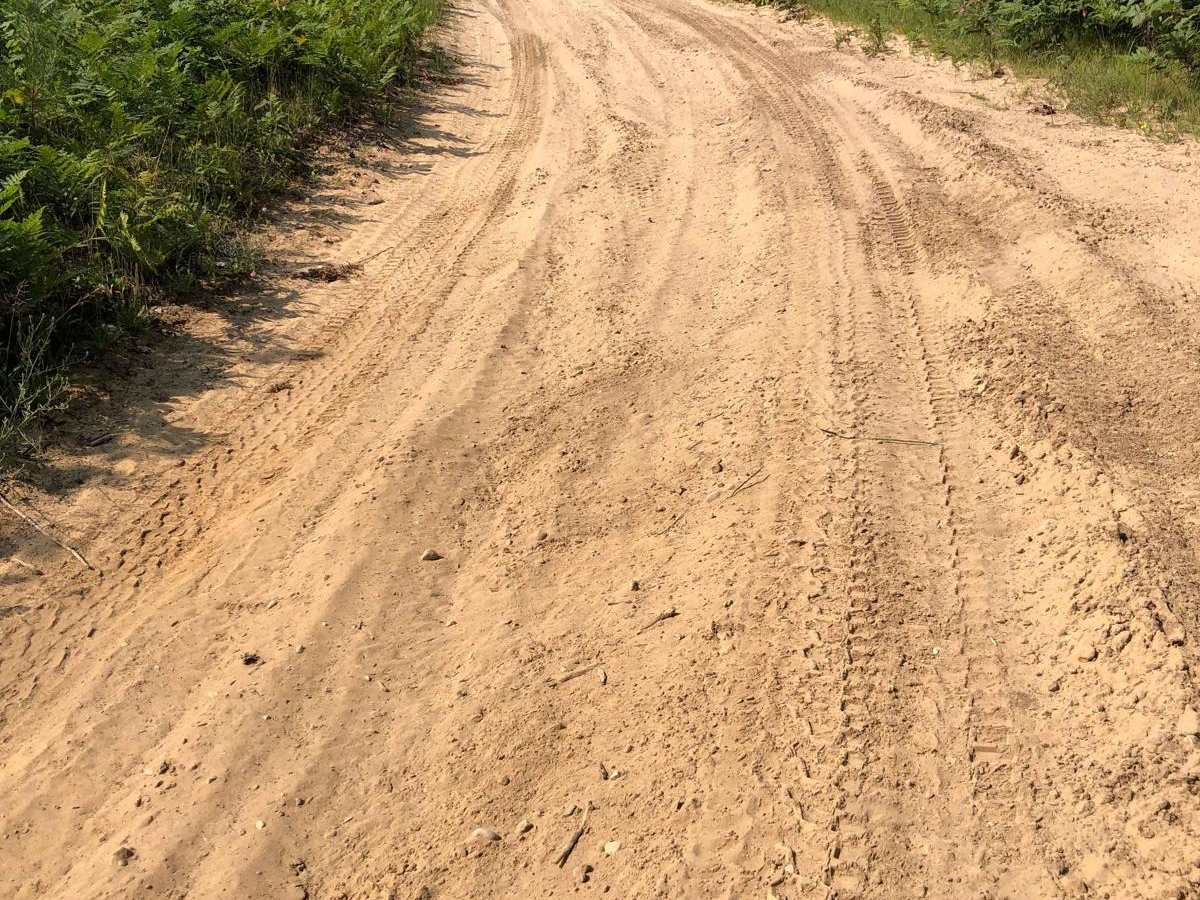 Fern Way trail photo