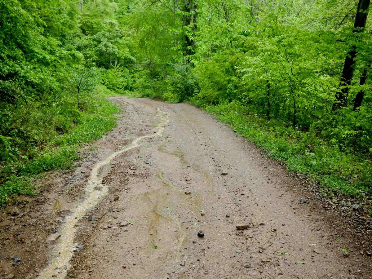 RH 14 trail photo