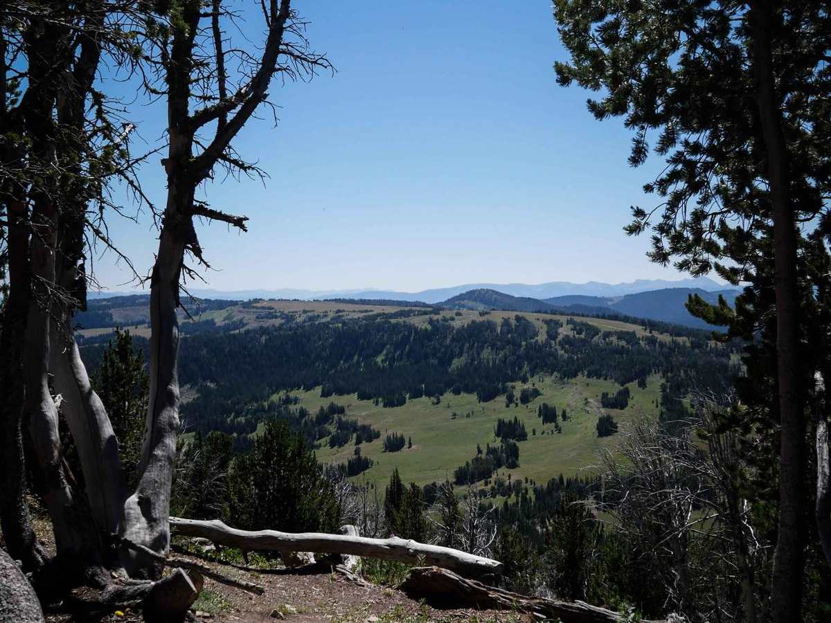 Buck Ridge ATV photo 3