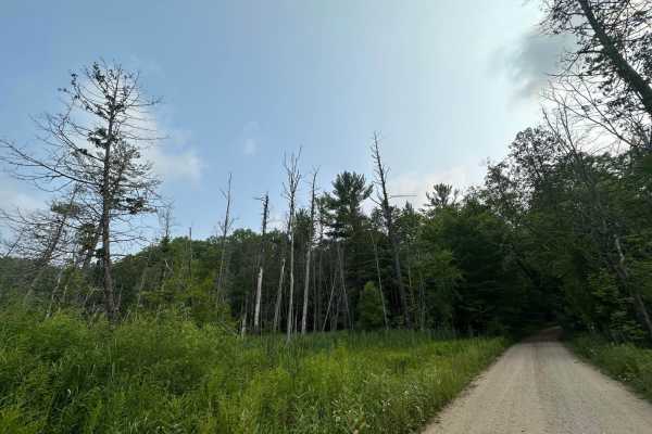 Upper River Road