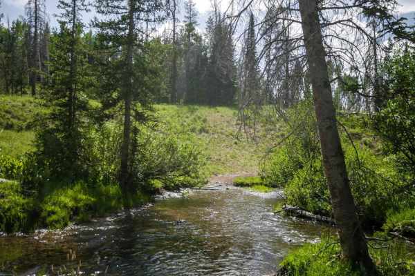 Farwell Mountain ATV Trail