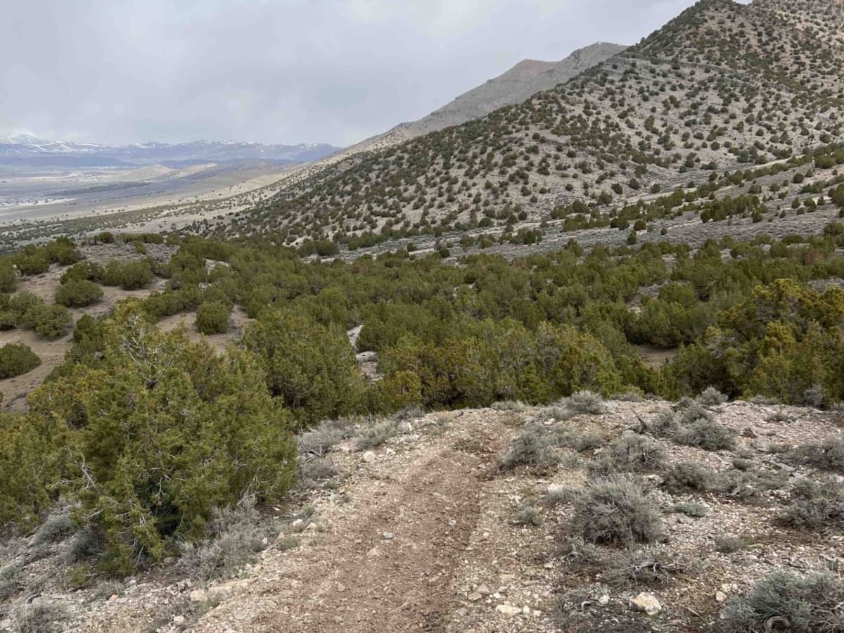 Eagle Connector trail photo
