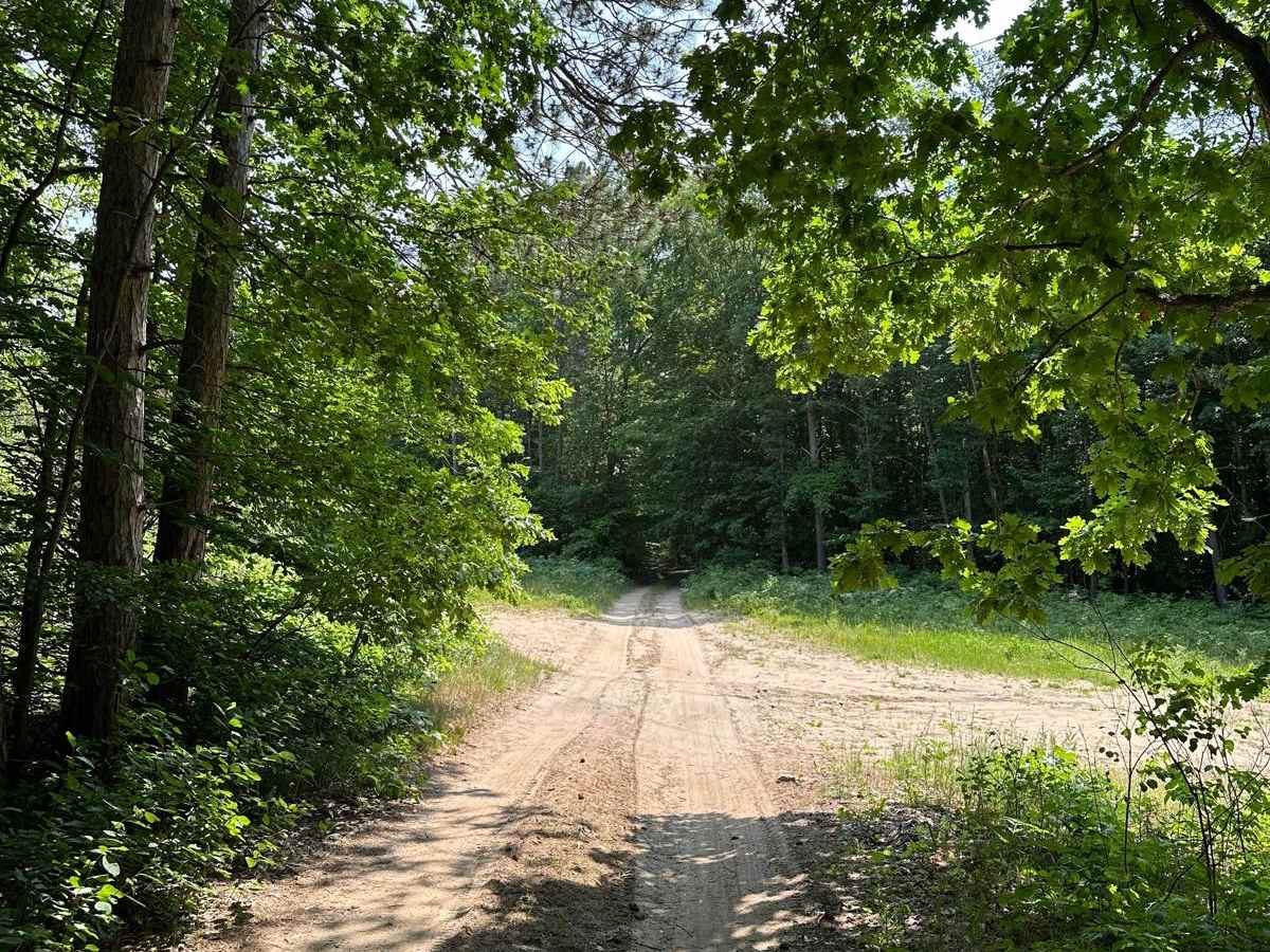 Trail 5461 photo 4