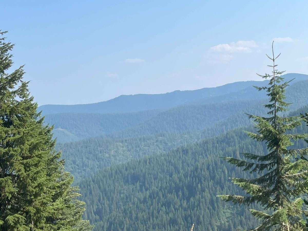 Cedar Mountain 389 photo 2