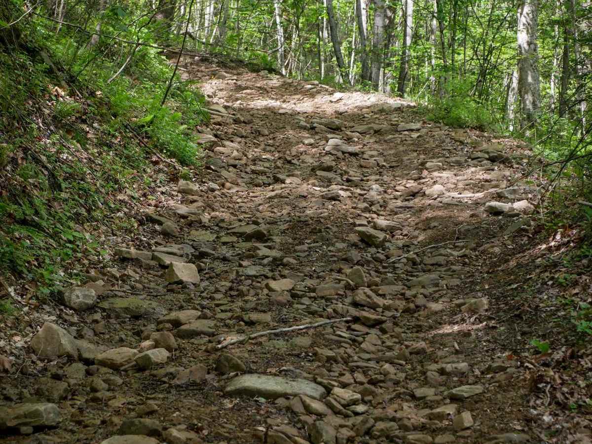 PC 93 trail photo