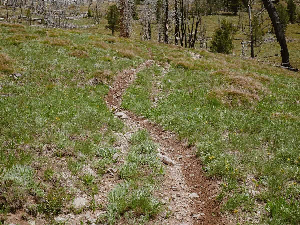 Three Mile Ridge photo 2
