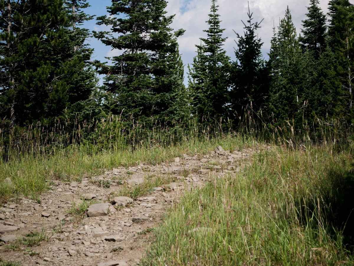 Willow Creek North ATV photo 3