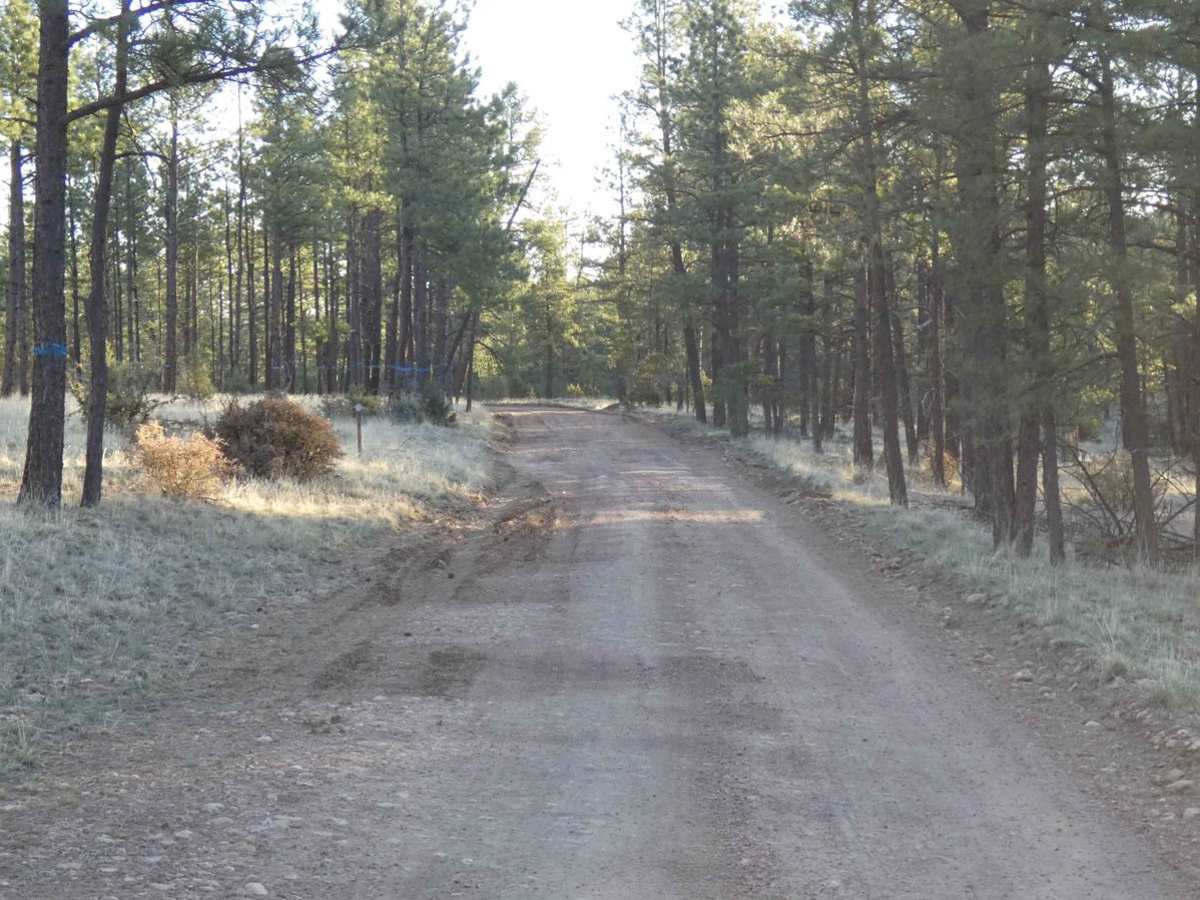 Adobe Ranch Road photo 2
