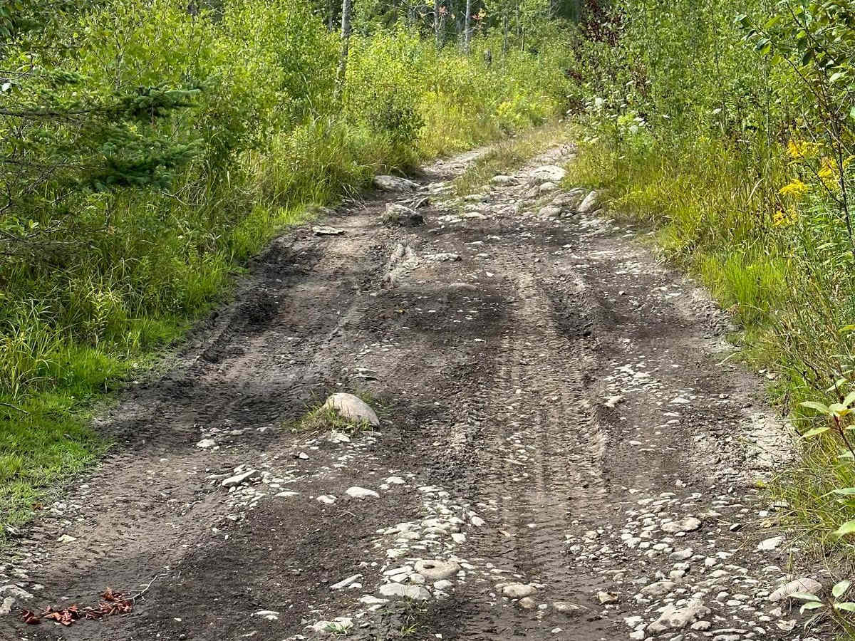 ORV Trail - 36282 photo 4