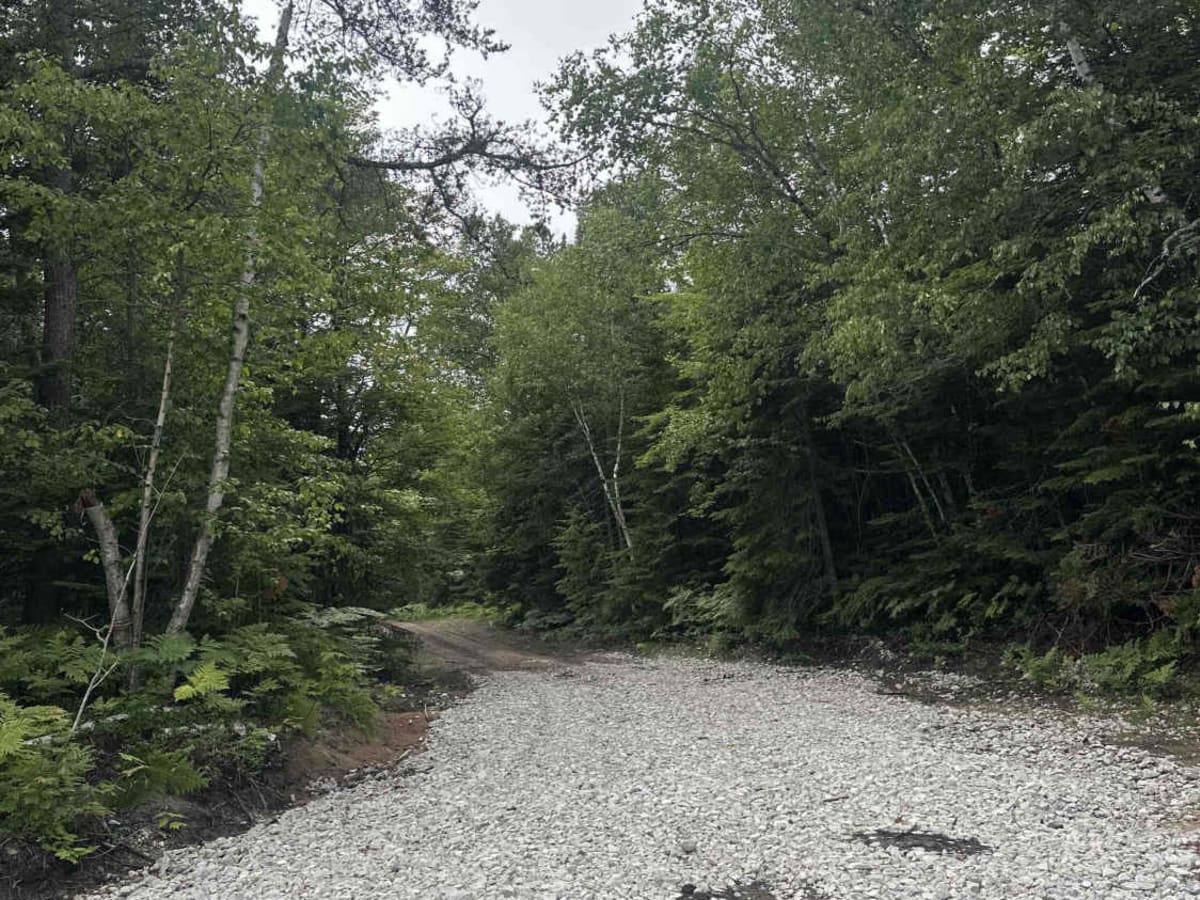 Whitefish Lake Superior  trail photo