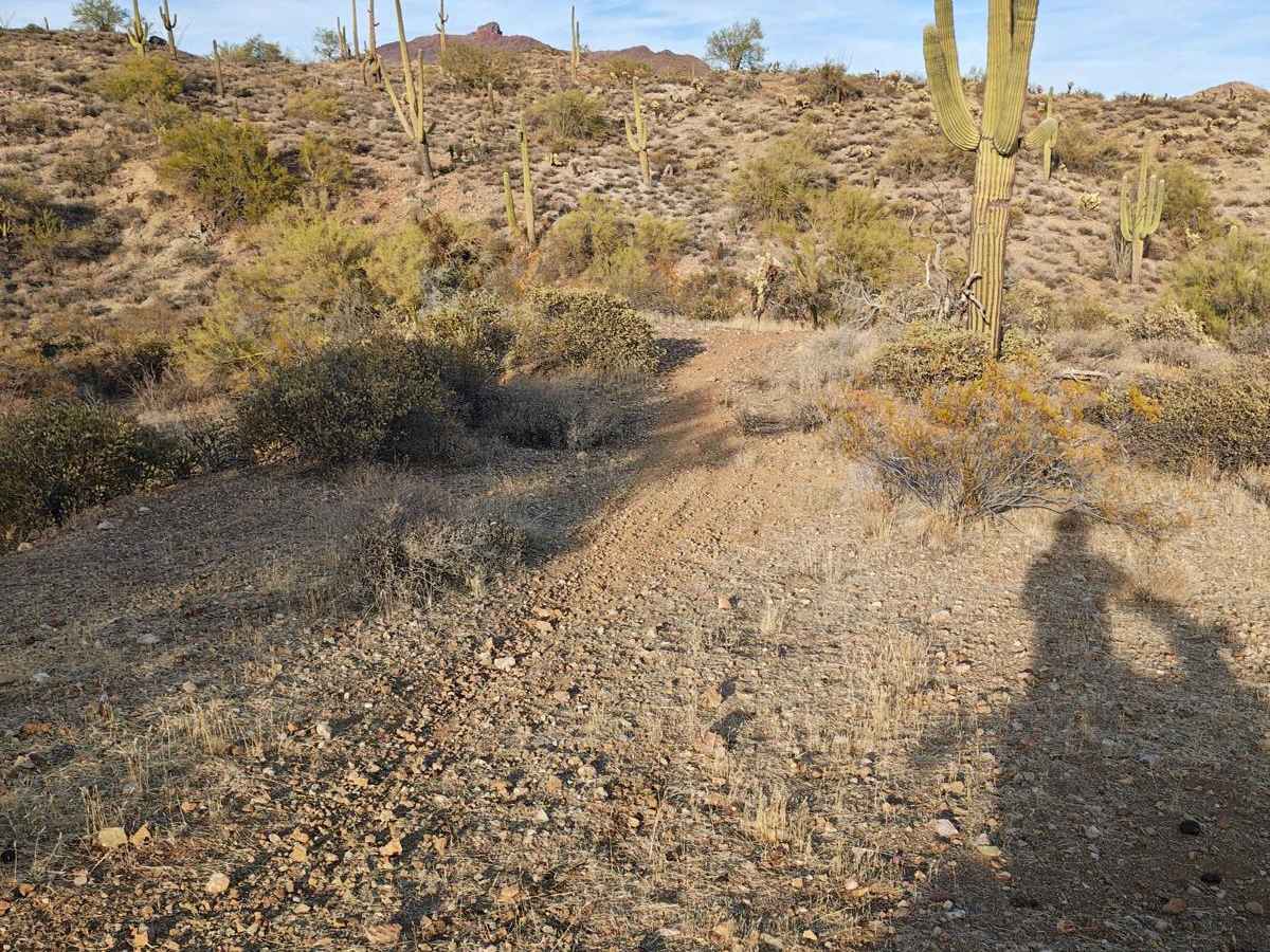 Wash Alternate - Single Track photo 6