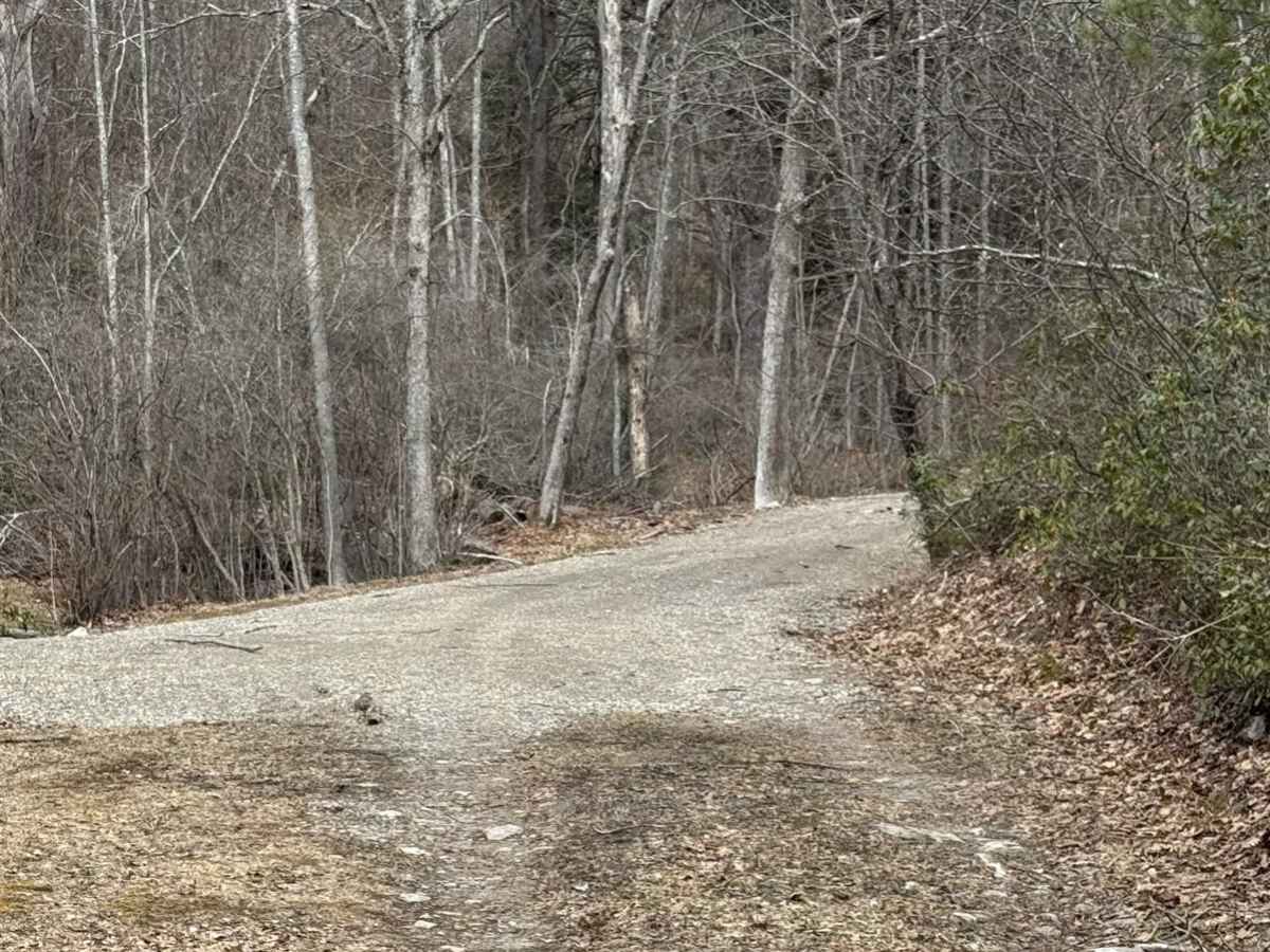 Wolf Run Road photo 4