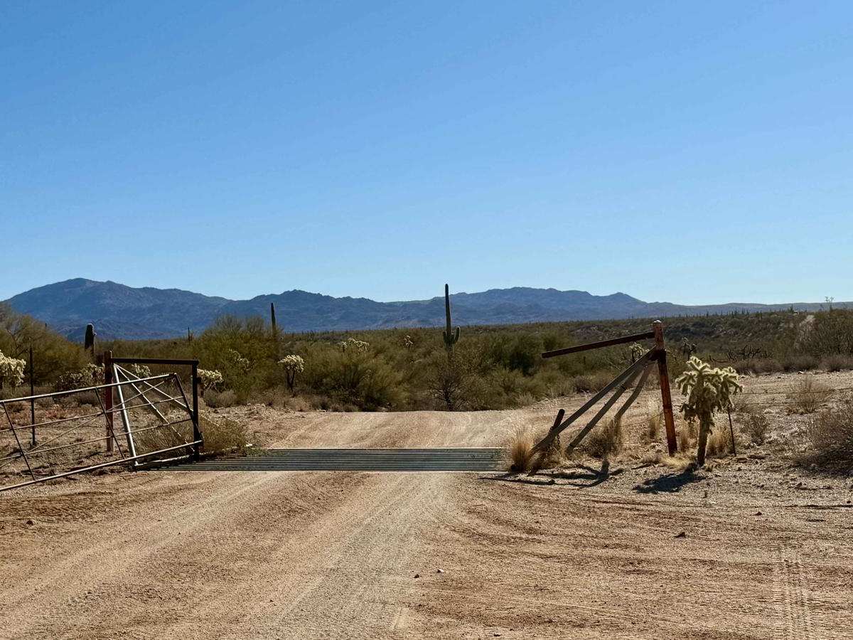 Gas Pipeline: Freeman to Lovetta photo 5