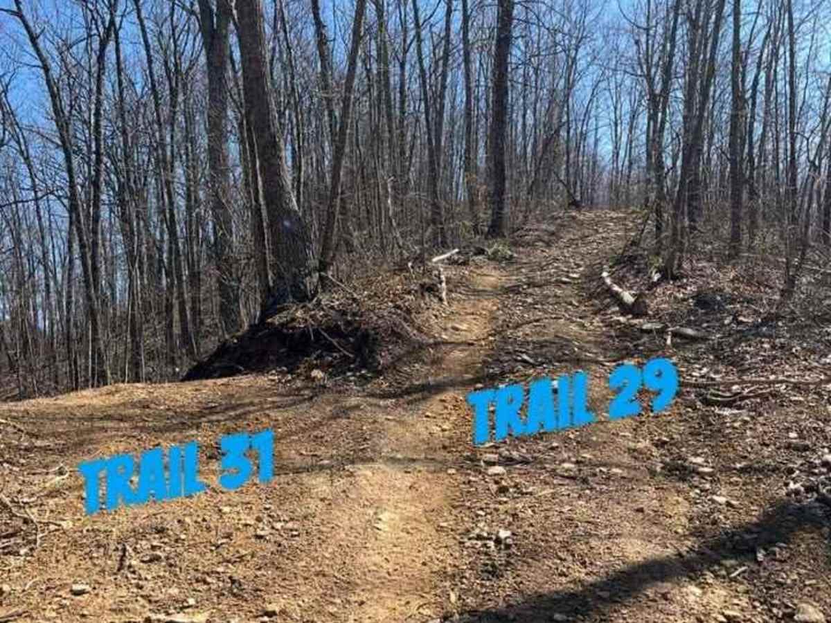 Trail 31 photo 3