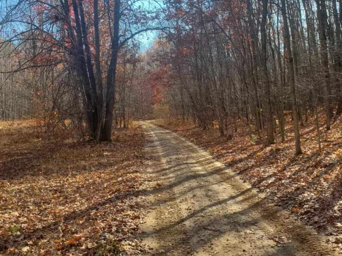 Trail 5578 photo 5
