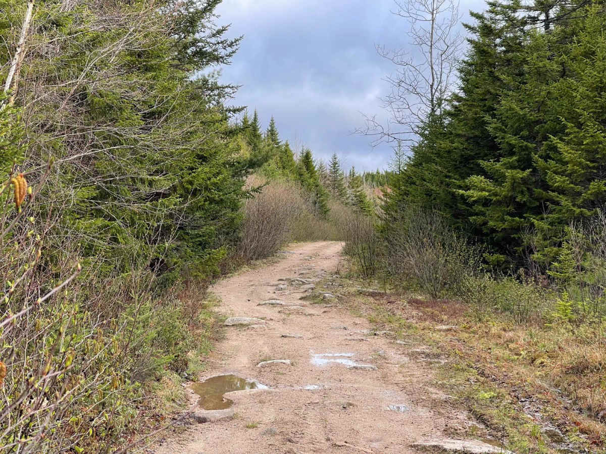 Airport Drive trail photo