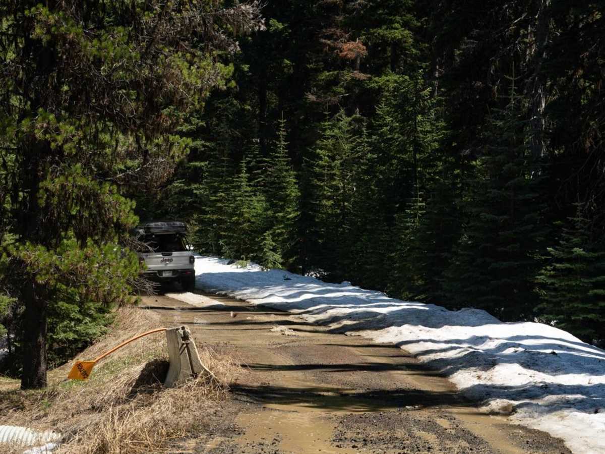 Manastash Road NF3100 photo 5