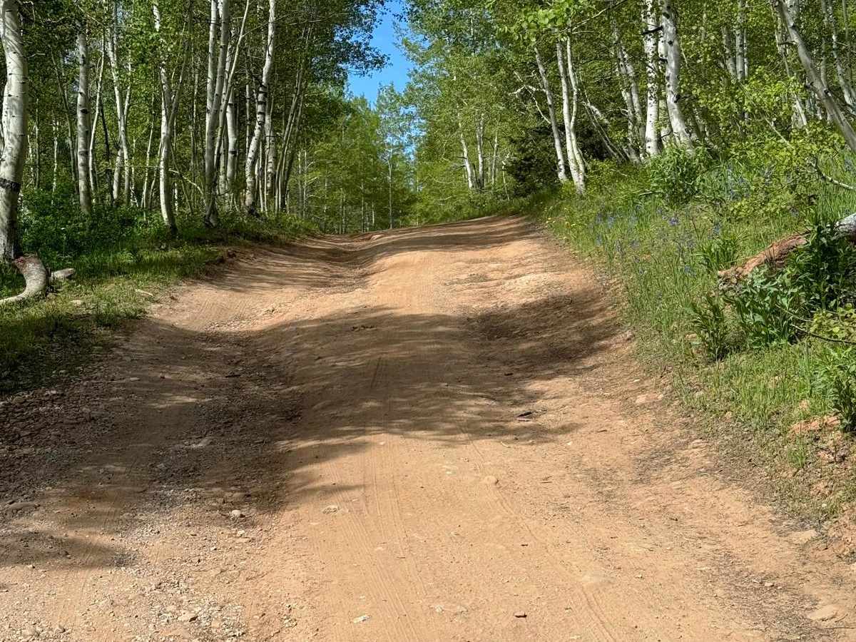 Dairy Ridge photo 3