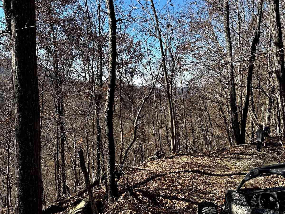 Trail 10 photo 3