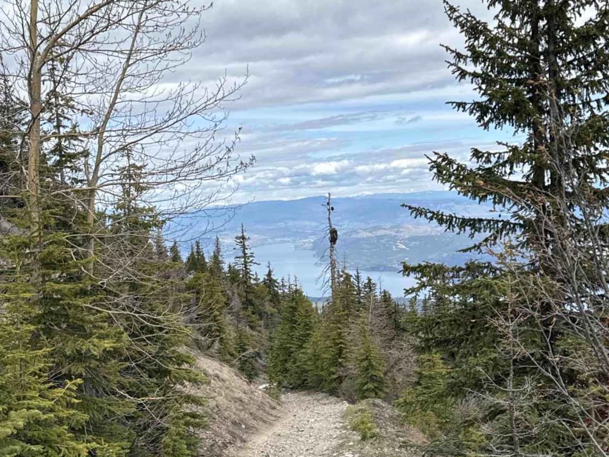 Terrace Mountain Road photo 2