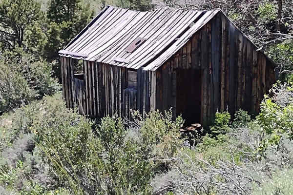 Miner's Cabin (Gold Gulch Canyon FS# 41078)
