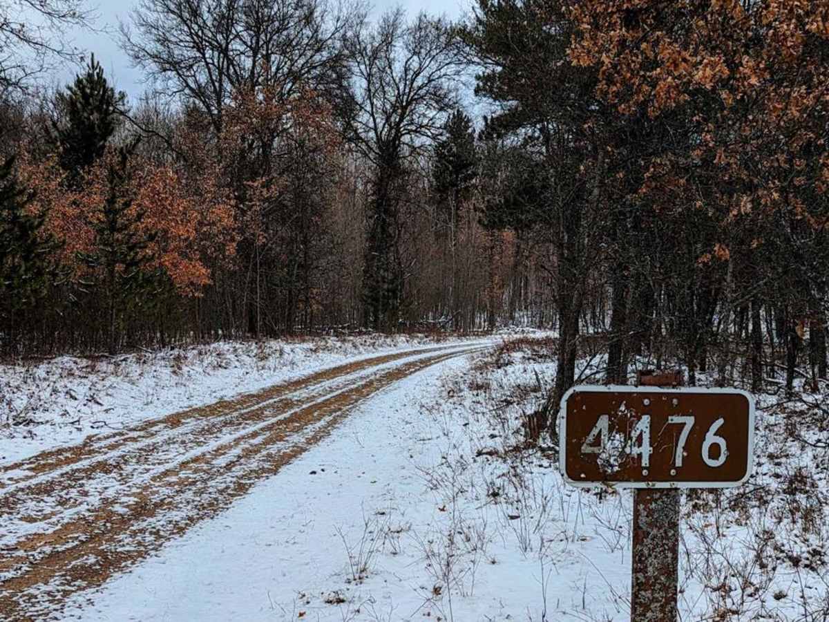 Oyster Road/4476 photo 3