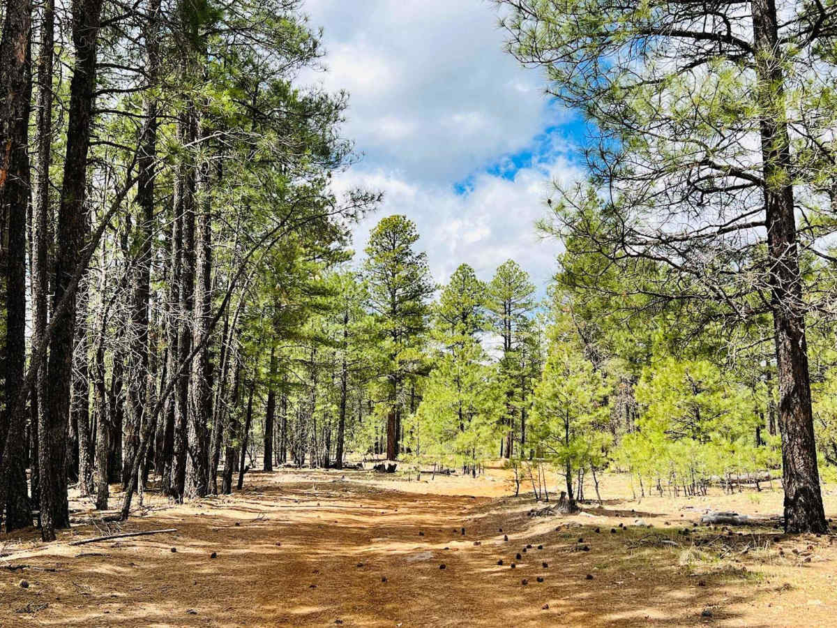 Long Valley West photo 6