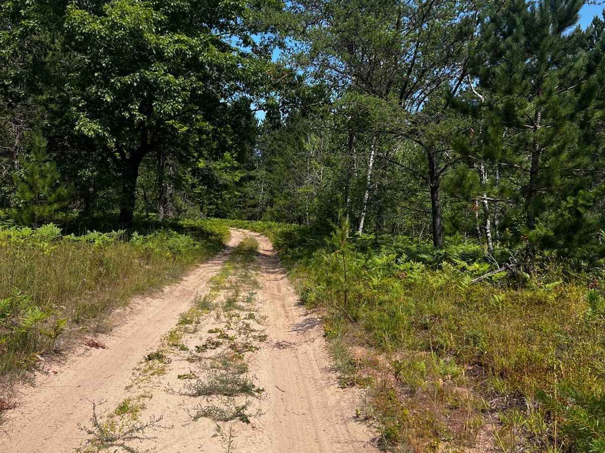 25 1/4 Trail photo 4