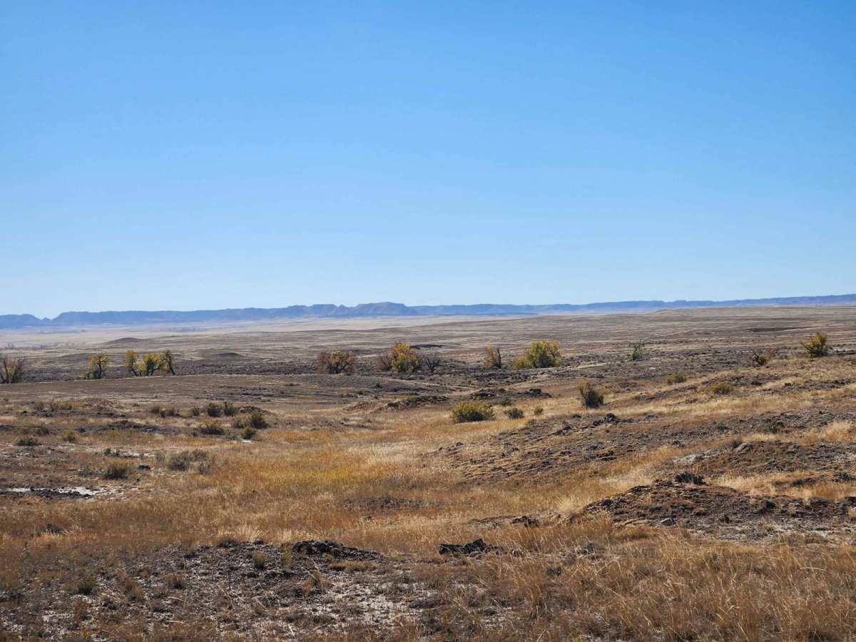 Prairie Dog Chase photo 6