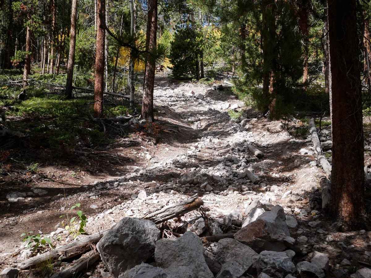 Left Hand ATV Trail photo 2