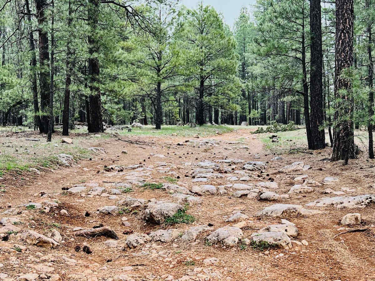 Experimental and Rocky trail photo