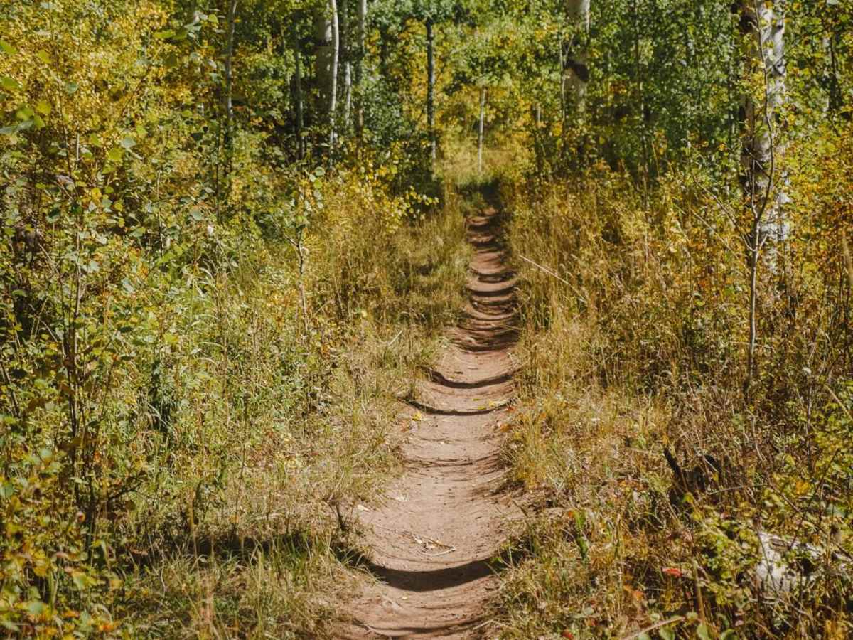 Milepost One Trail photo 6