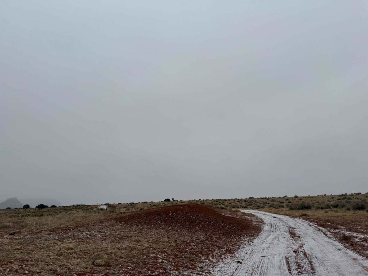 BLM M0000-M4186 photo 5