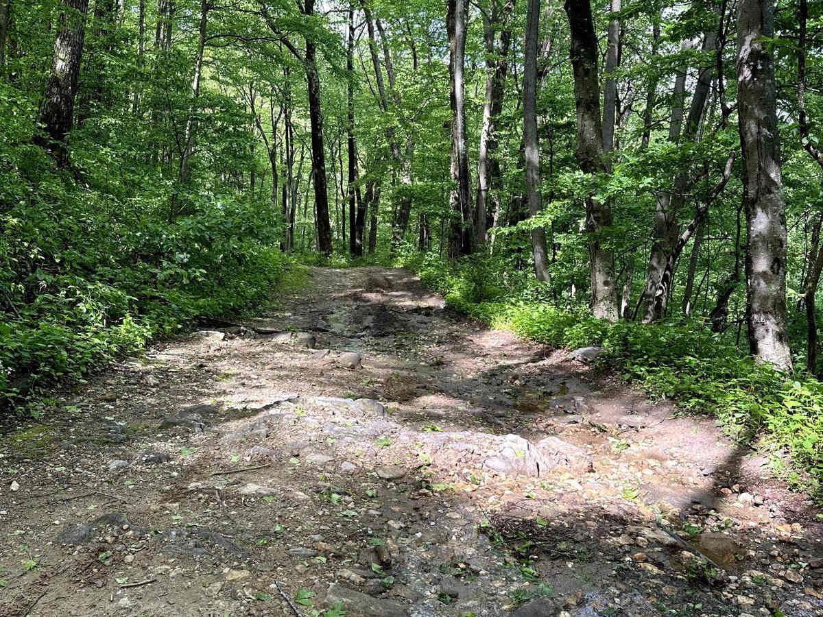 Nimblewill Road photo 5