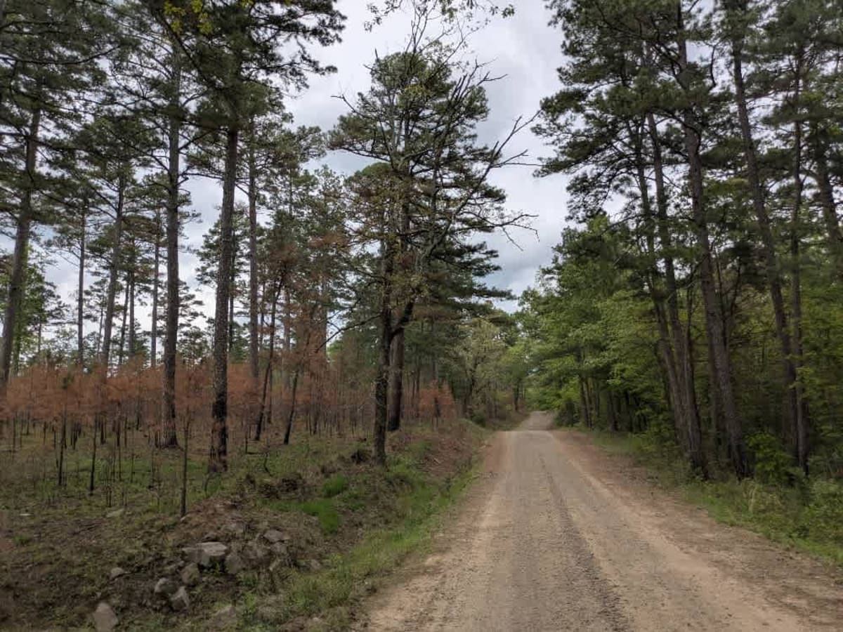 Eickleberry Road photo 4