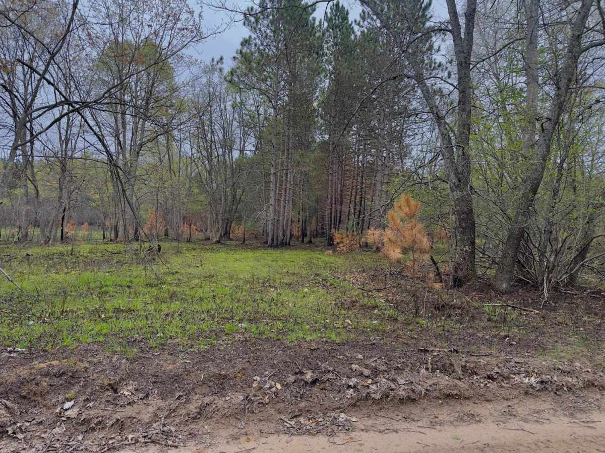 Wellston Newaygo SMT 3 photo 2