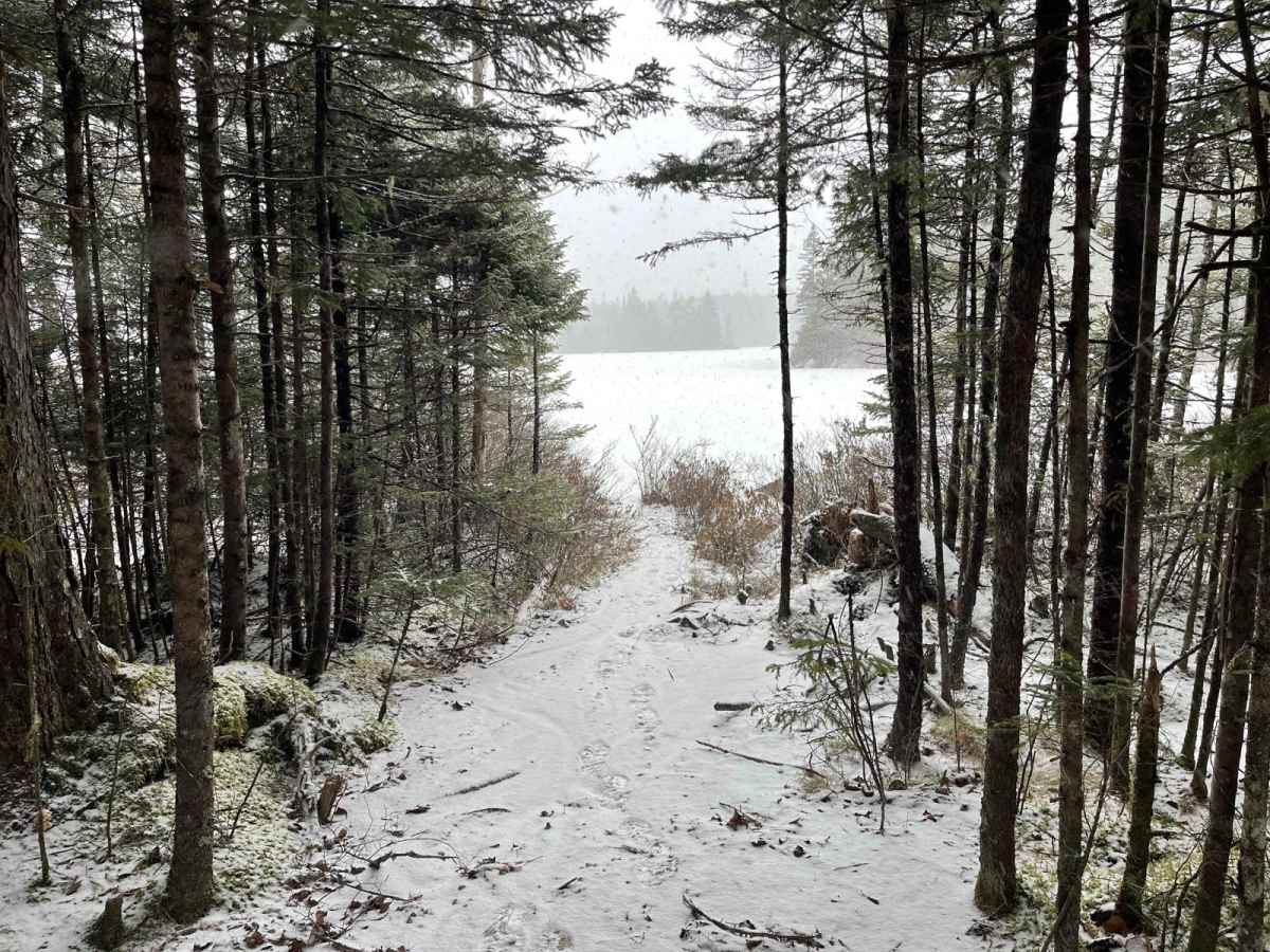 Connor Lakes Trail photo 4