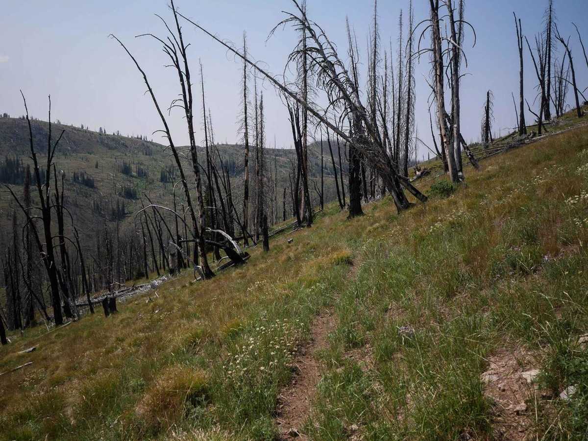 Hay Knapp Creek photo 2