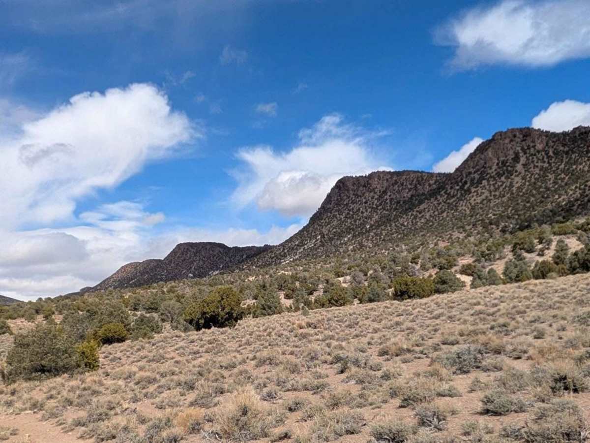Douglas Spring - 44501 photo 4