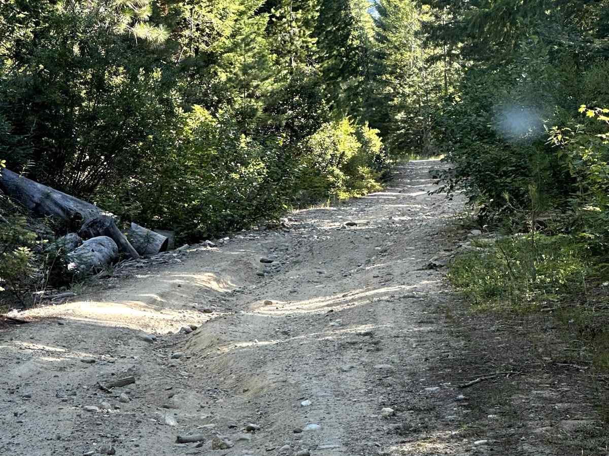 Alder Ridge Loop photo 4
