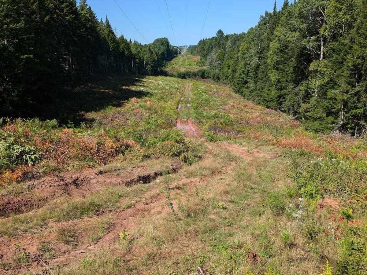Old Springhill Loop photo 5