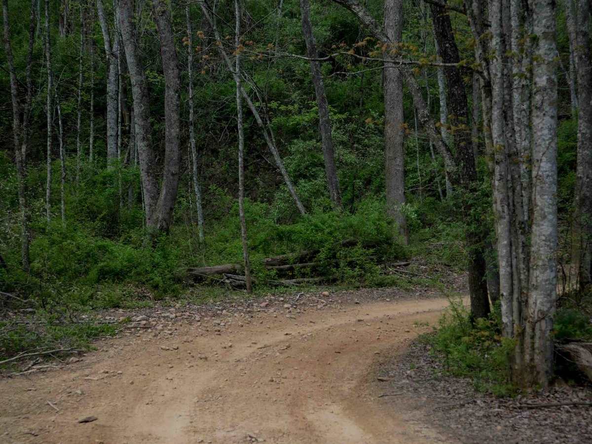 P14 photo 2