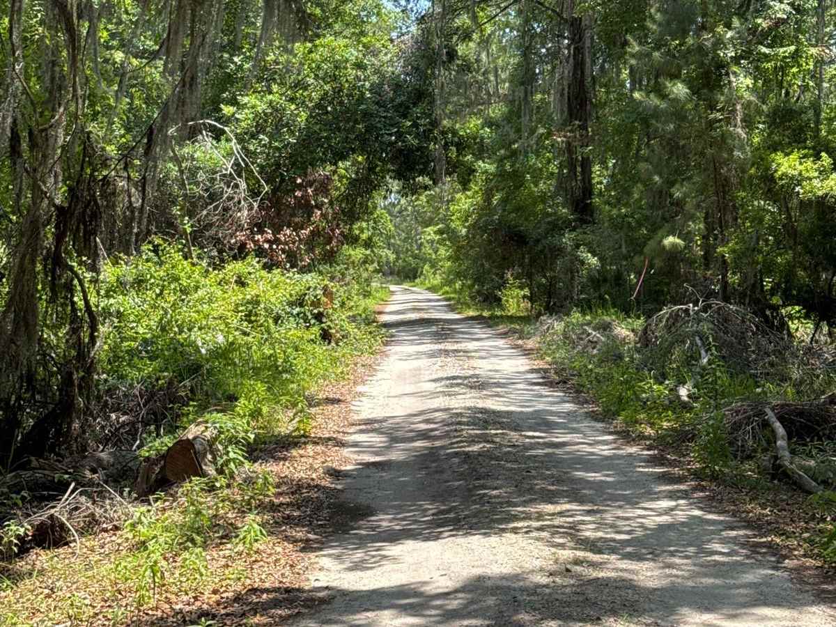 Black Point - Ceylon WMA trail photo